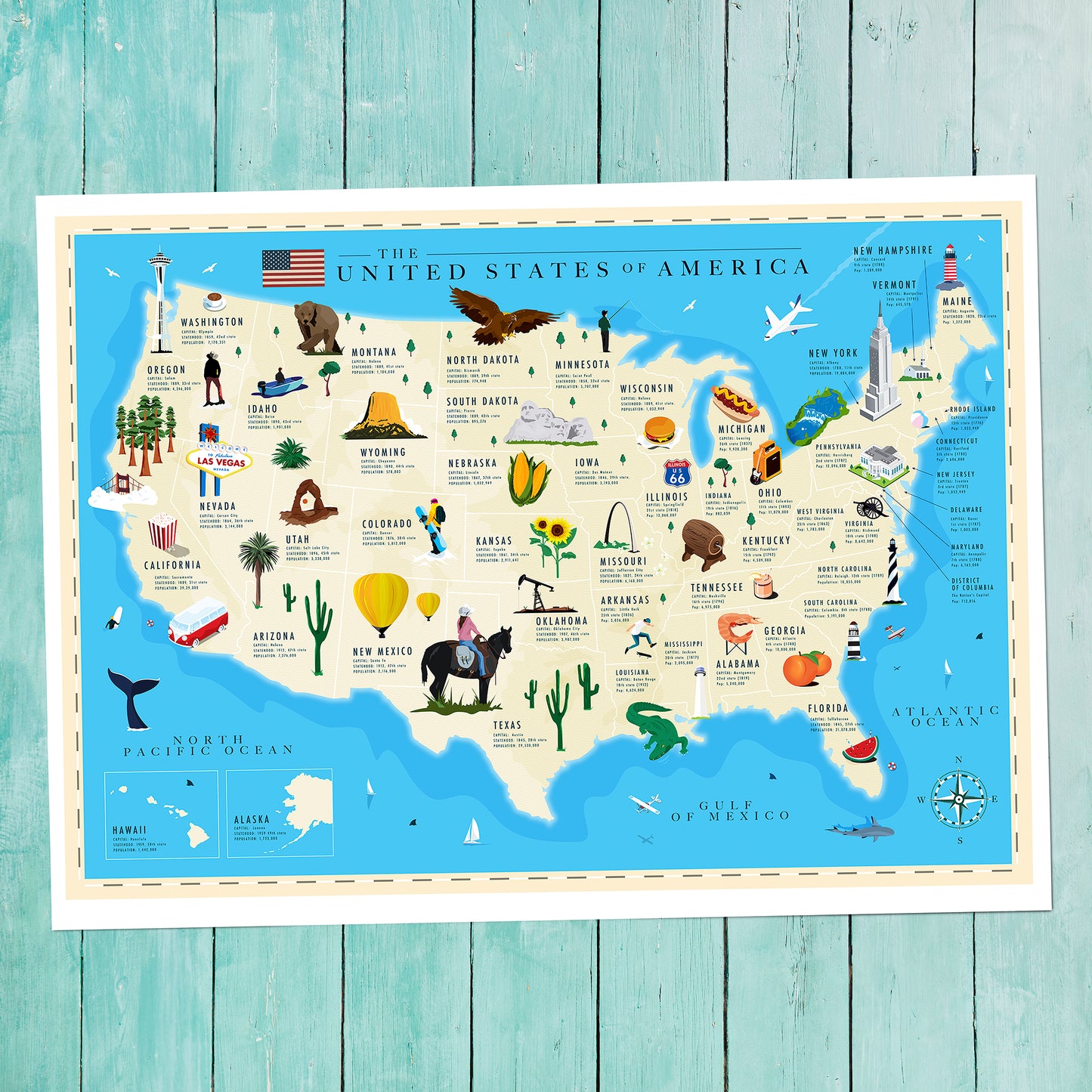 USA State by State Geography Map.